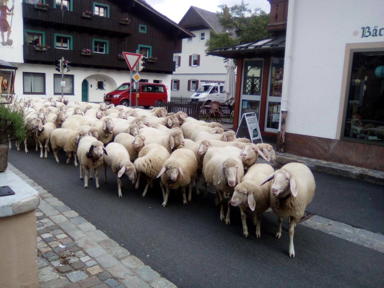 Landgasthof Kirchmayer 2*