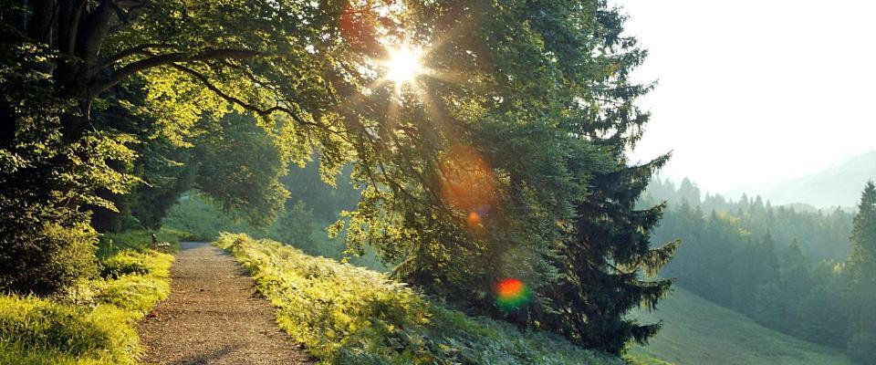 Hotel Landgasthof Kirchmayer Farchant